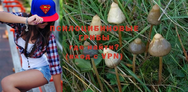 прущая мука Арсеньев