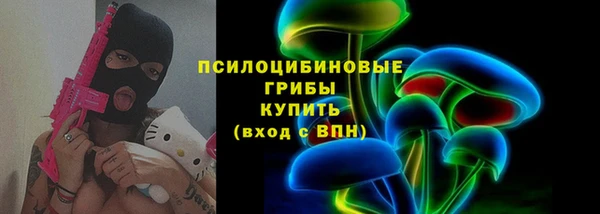 прущая мука Арсеньев