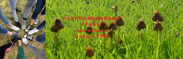 стафф Богородицк