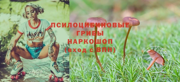 герыч Аркадак