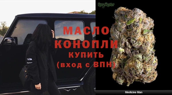индика Щёлкино