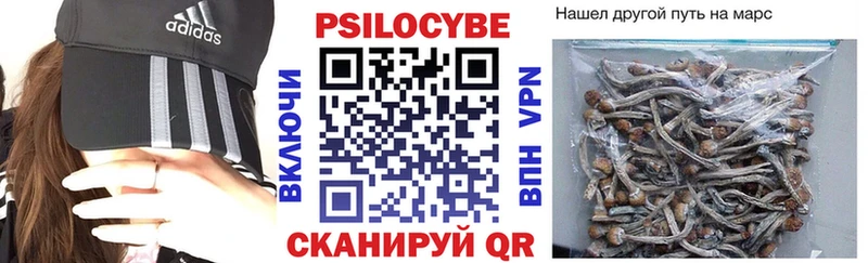 где найти наркотики Салават Псилоцибиновые грибы Psilocybe